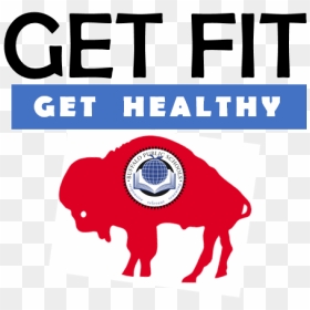 Buffalo Bills Classic Logo, HD Png Download - buffalo png