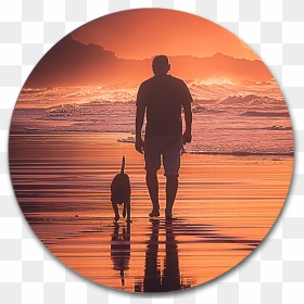 Silhouette, HD Png Download - people walking dog png