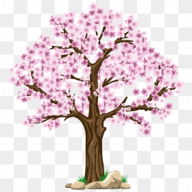 Transparent Sakura Tree Clipart, HD Png Download - sakura tree png