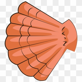 Sea Shell Clipart - Illustration, HD Png Download - sea png