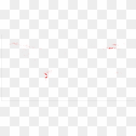 File - Burned - Earwigs, HD Png Download - burned paper png