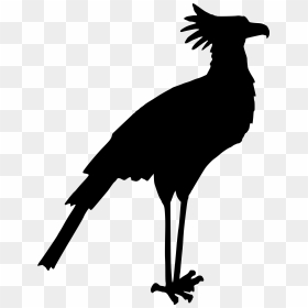Bird Drawing Clip Art - Secretary Bird Silhouette, HD Png Download - head silhouette png