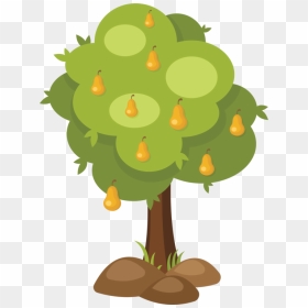 Fruit Tree Branch Asian Pear - Pear Tree Clipart, HD Png Download - fruit tree png