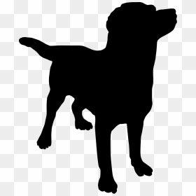 Labrador Retriever Golden Retriever Puppy Clip Art - Dog Silhouette .png, Transparent Png - golden retriever png