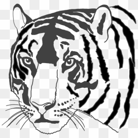 Black White-drawing Tiger Face - Siberian Tiger, HD Png Download - tiger face png