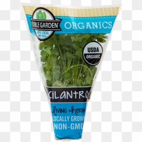 Organic Cilantro - Edible Garden Organic Herbs, HD Png Download - cilantro png