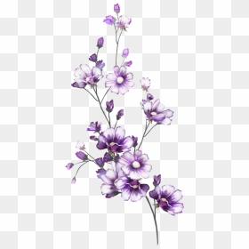 Watercolor Line Art Floral, HD Png Download - sakura flower png