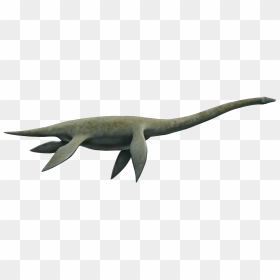 Cryptoclidus Profile - Plesiosaurus Png, Transparent Png - loch ness monster png