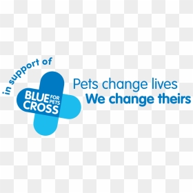 Image - Commonwealth Purchasing Group Logo, HD Png Download - blue cross png