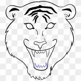 Tigers Drawing Front Face - Tiger Face Drawing Easy, HD Png Download - tiger face png