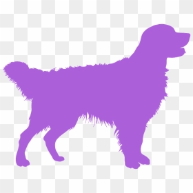 Golden Retriever Silhouette, HD Png Download - golden retriever png