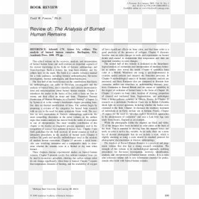 Document, HD Png Download - burned paper png