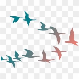 Flock Of Flying Bird Png Image - Birds Flying Clipart Transparent Background, Png Download - bird flying png