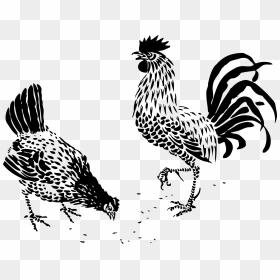 Hen And Rooster Clip Arts - Black And White Chicken Vectors Png, Transparent Png - hen png