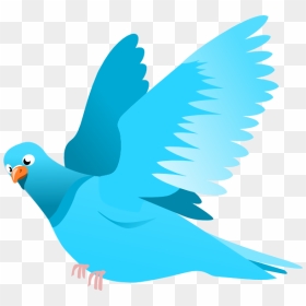 Thumb Image - Transparent Flying Bird Clipart, HD Png Download - bird flying png