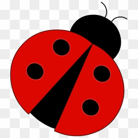 Download Red Ladybug Png Pic - Ladybug Illustration Png, Transparent Png - lady bug png