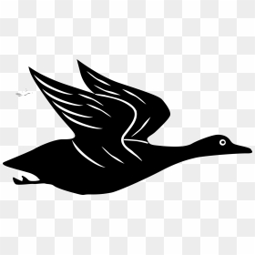 Brown Bird Flying Svg Clip Arts - Cartoon Flying Duck Png, Transparent Png - bird flying png