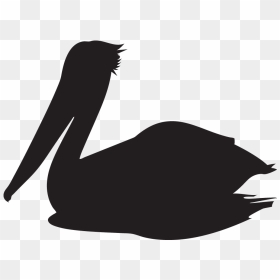 - Pelican , Png Download - Silhouette Pelican Clip Art, Transparent Png - pelican png
