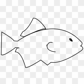 Cute Black And White Goldfish Png - Pomacentridae, Transparent Png - gold fish png
