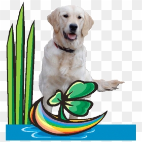 Golden Retriever Clipart , Png Download - Golden Retriever, Transparent Png - golden retriever png