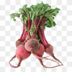 Beet - Beets With Transparent Background, HD Png Download - beet png