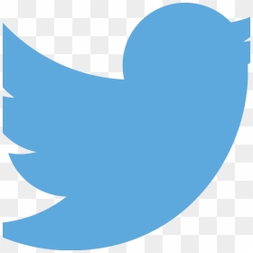 Twitterlogo - Twitter Png, Transparent Png - periscope png