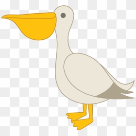 Pelican Free Png Image, Transparent Png - pelican png