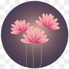 Water Lily, HD Png Download - flowers vector png