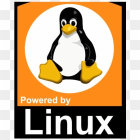 Linux Training, HD Png Download - scratch png transparency