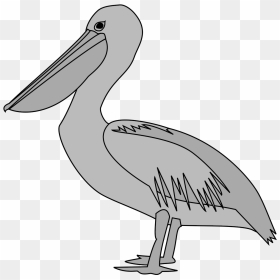 Heraldic Pelican, HD Png Download - pelican png
