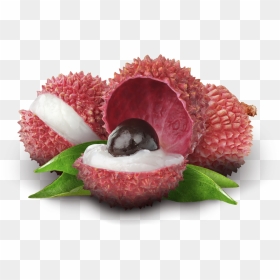 Lychee White Background Hd Photos - Lychee, HD Png Download - fruit tree png