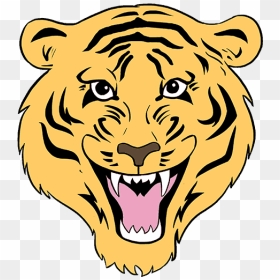 Face Tiger Drawing For Kids, HD Png Download - tiger face png