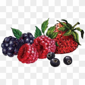 Berries Png - Siggis Yogurt Mixed Berry, Transparent Png - berries png