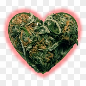 Weed Lovers, HD Png Download - weed.png