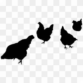 Hen Clipart 2 French - Transparent Farm Animal Silhouette, HD Png Download - hen png