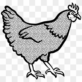 Transparent Chicken Clipart - Hen Black And White Clipart, HD Png Download - hen png