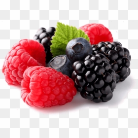 Free Png Berries Png Images Transparent - Transparent Background Berries Png, Png Download - berries png