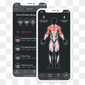 Lockup - Free Weight Lifting Apps, HD Png Download - limited time offer png