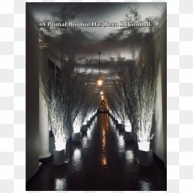 Melania White House Christmas Decorations, HD Png Download - dark souls bonfire png
