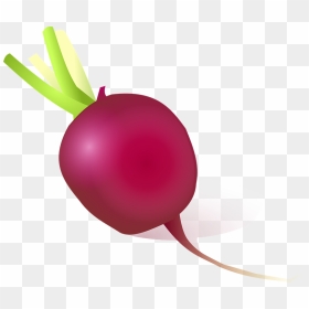 Beet Png, Transparent Png - beet png