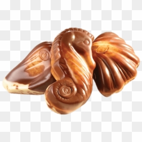 Guylian Chocolate Seashells Clip Arts - Guylian Belgian Chocolate Seashells, HD Png Download - seashells png