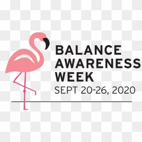 Baw Logo With Fiona Flamingo - Balance Awareness Week 2019, HD Png Download - balance png
