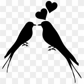 Png Small Medium Large Love Birds Silhouette Png - Love Birds Vector Png, Transparent Png - birds silhouette png