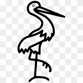 Pelican - Icon, HD Png Download - pelican png