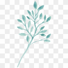 Ramas , Png Download - Gambel Oak, Transparent Png - ramas png