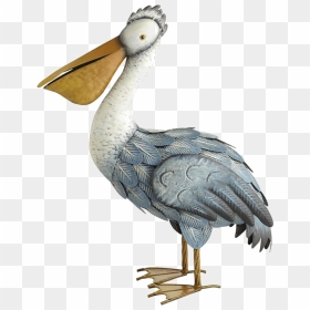 Pelican Png File - Pelican, Transparent Png - pelican png