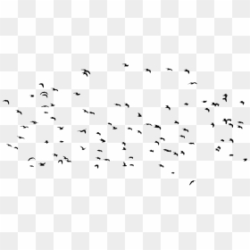 Flock, HD Png Download - birds silhouette png