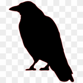 Crow Silhouette Easy, HD Png Download - birds silhouette png