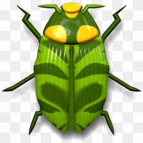 Ladybug Dark And Light Green - Insectos Verdes, HD Png Download - lady bug png