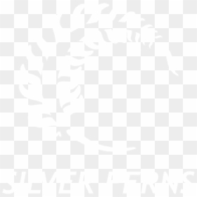 Post A Comment - New Zealand National Netball Team, HD Png Download - ferns png